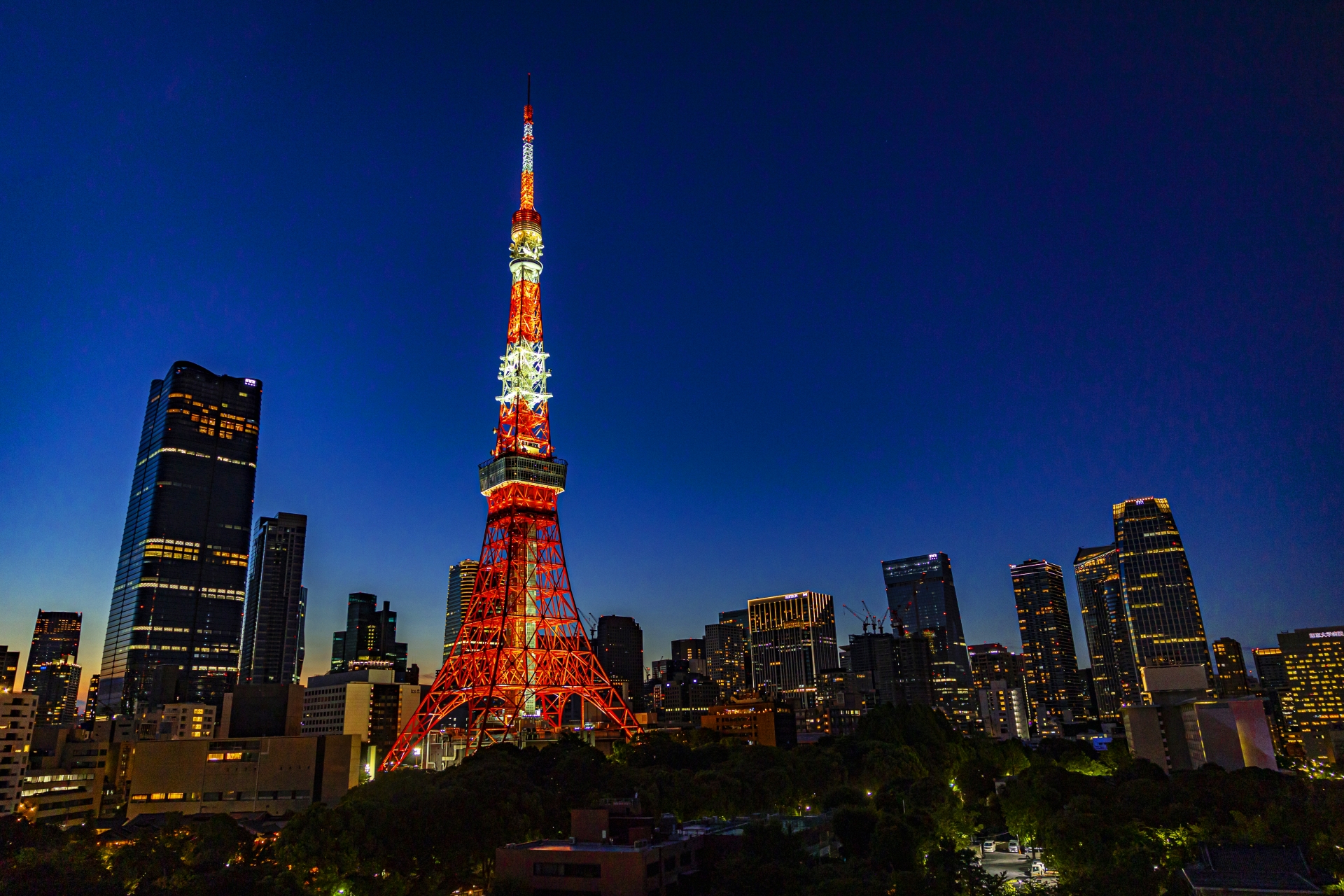 新陽リアルエステート株式会社